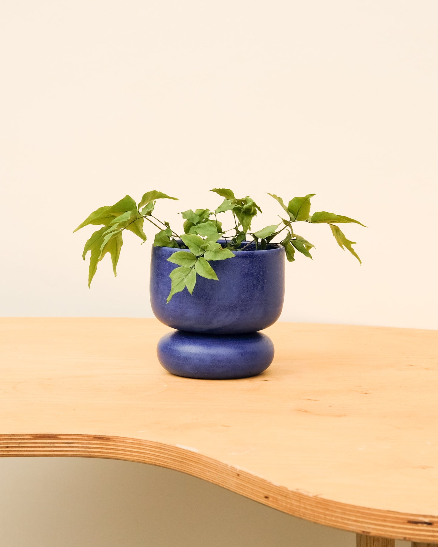 Small One of a Kind Pedestal Planters Blue