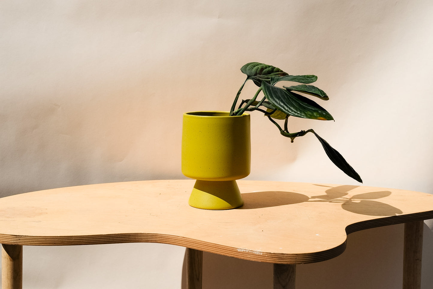 Medium Planter Green