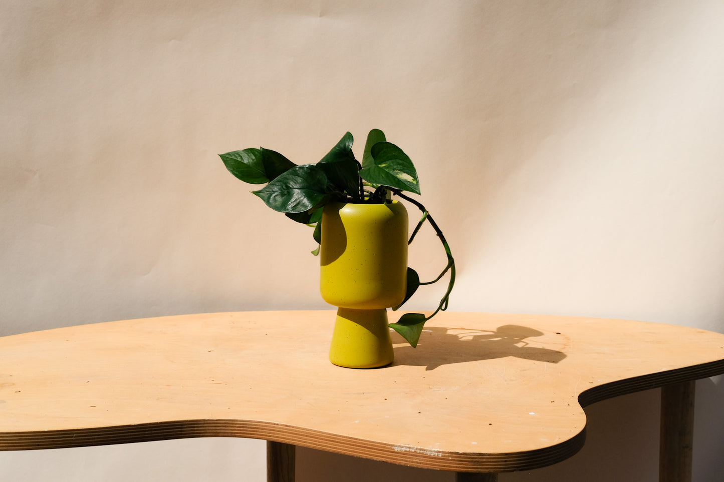 Small Planter Green 4