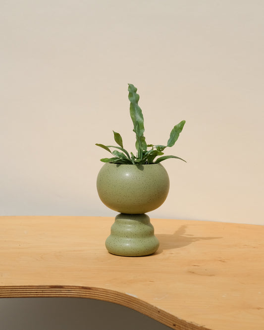 Small One of a Kind Pedestal Planter Sage