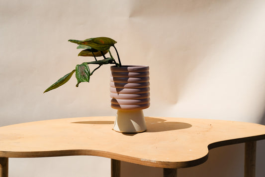 Medium Planter Purple and Cream