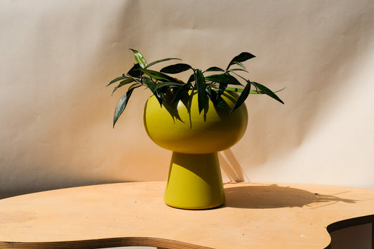 Large Orbital Planter Green
