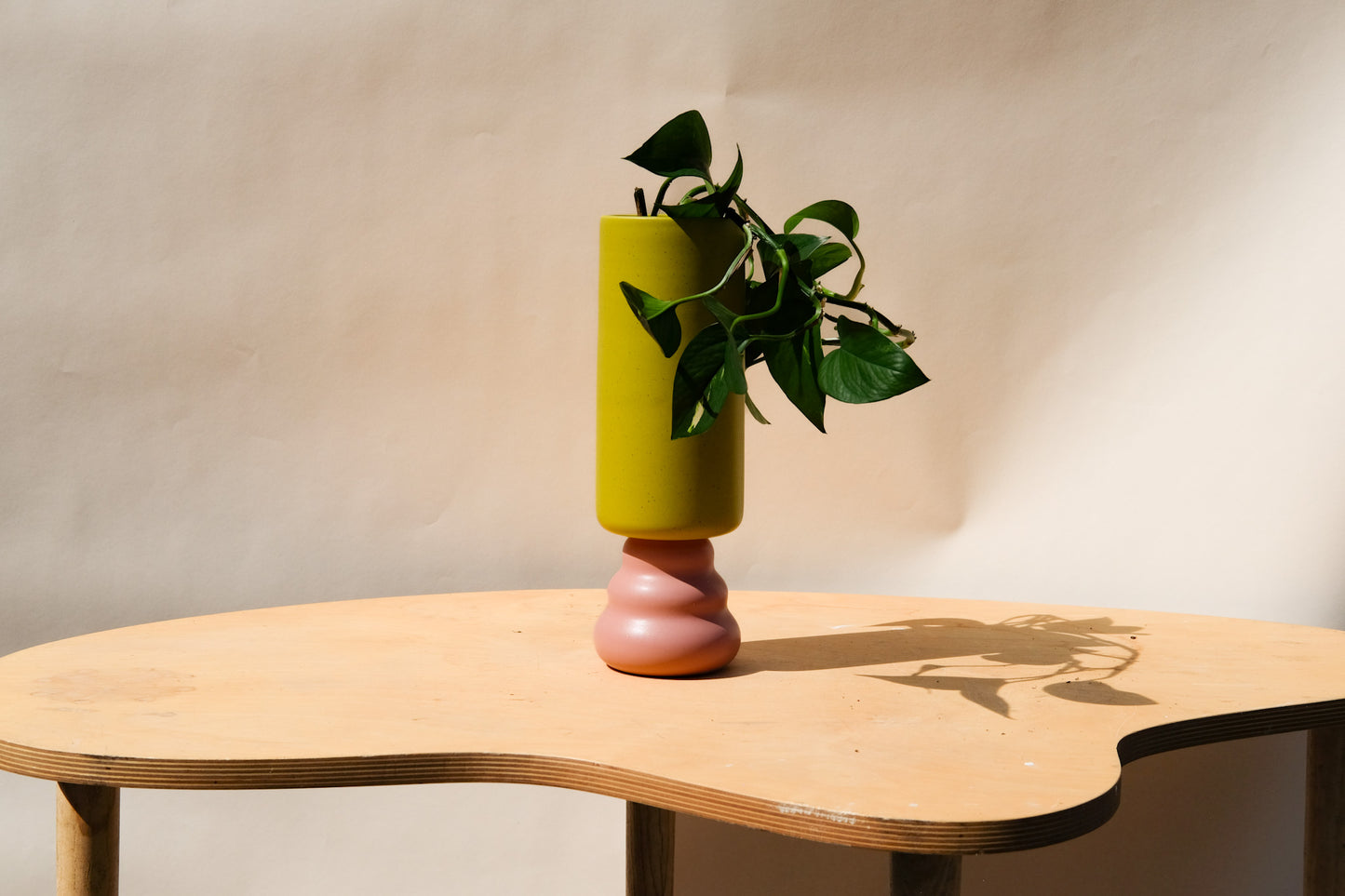 Medium Planter Green and Pink 1