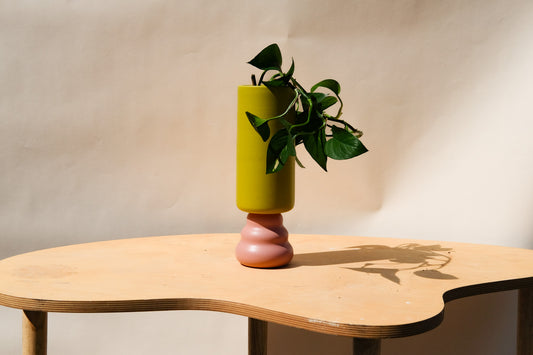 Medium Planter Green and Pink 1