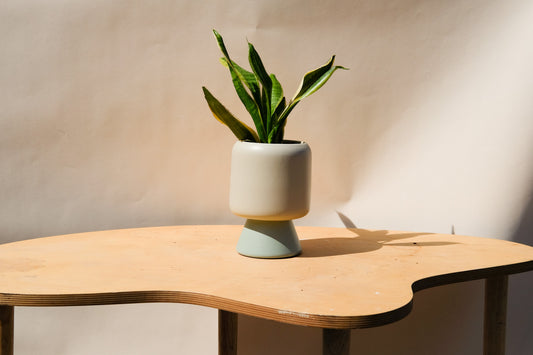 Medium Planter Cream and Blue