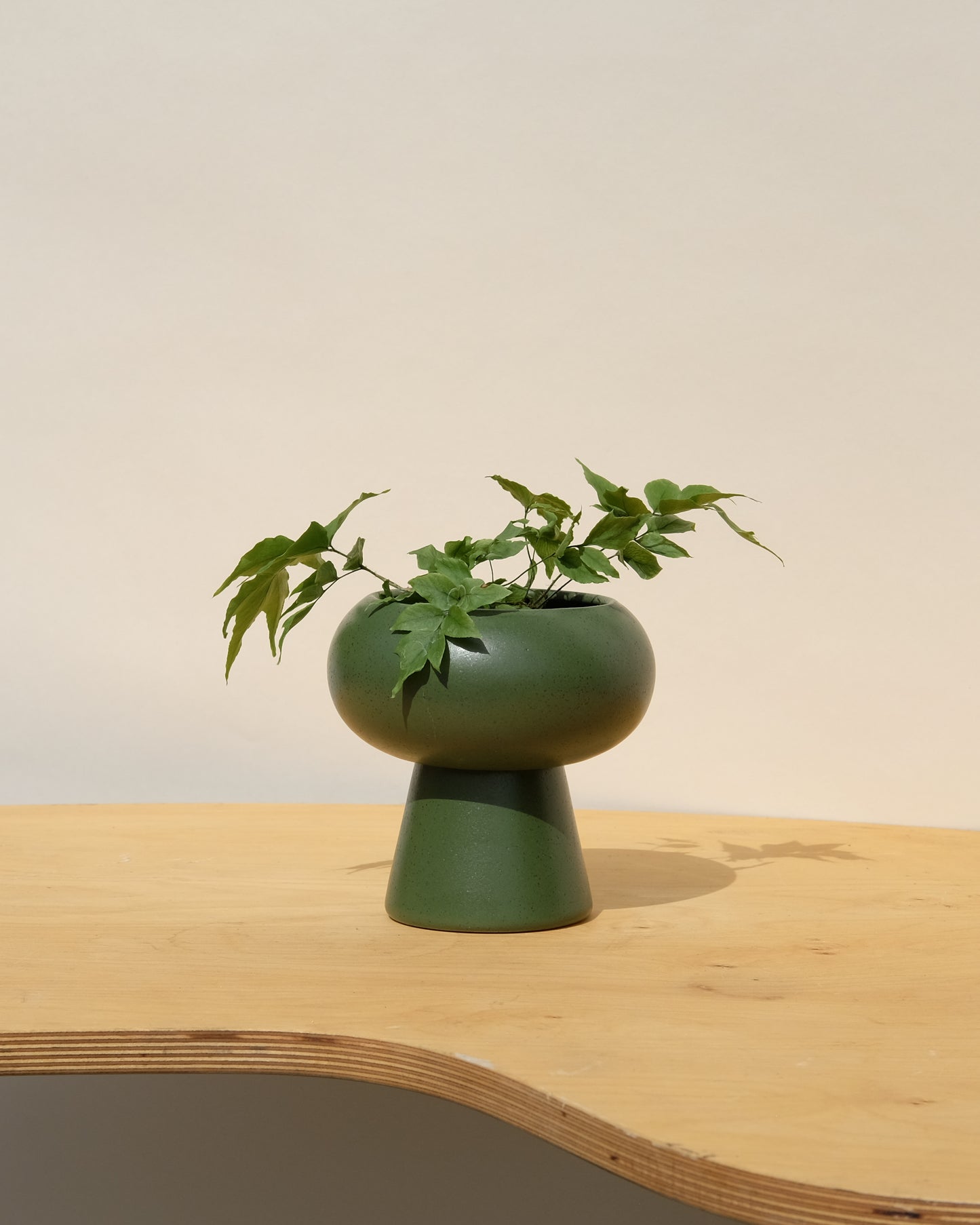 Small Orbital Pedestal Planter in Color!