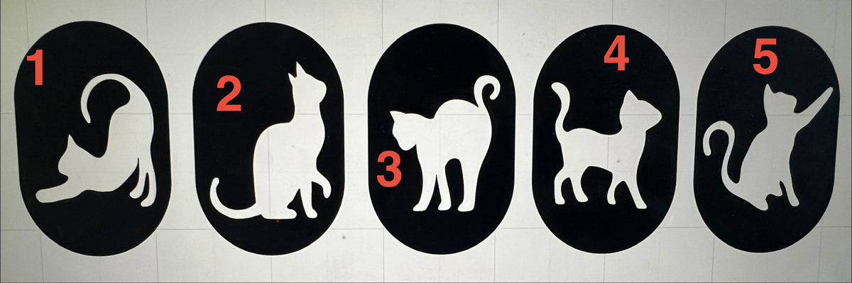*Preorder* Black Cat Tumbler