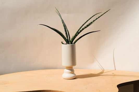 Small Planter Cream