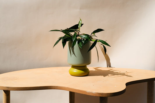 Medium Planter Blue and Green