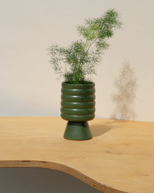 Small One of a Kind Pedestal Planter Evergreen