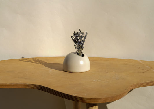 Vase Bone