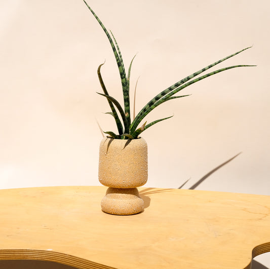 Small Pedestal Planter Desert Sands 2