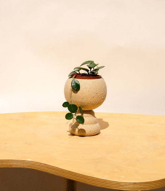 Small Pedestal Planter Desert Sands 3