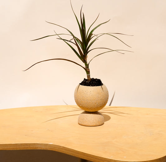 Small Pedestal Planter Desert Sands 6