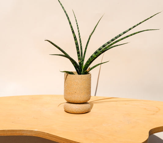Small Pedestal Planter Desert Sands 7