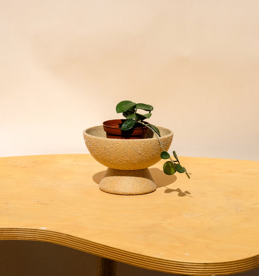 Small Pedestal Planter Desert Sands 9