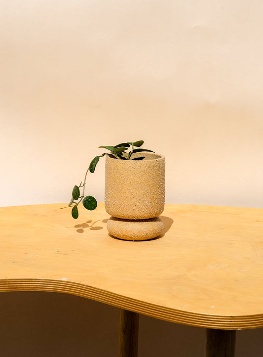 Small Pedestal Planter Desert Sands 12