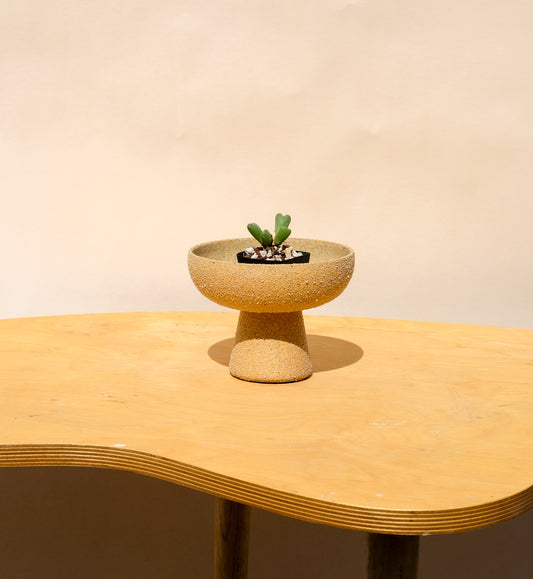 Small Pedestal Planter Desert Sands 14