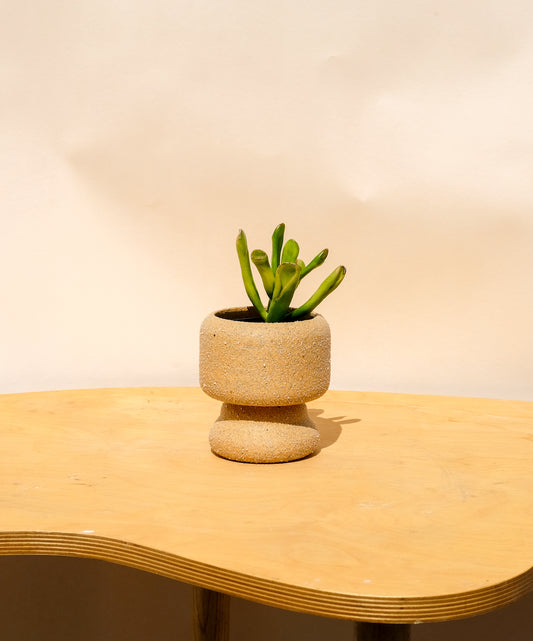 Small Pedestal Planter Desert Sands 15