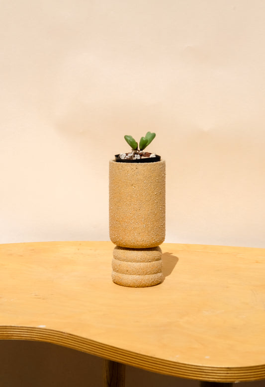 Small Pedestal Planter Desert Sands 16