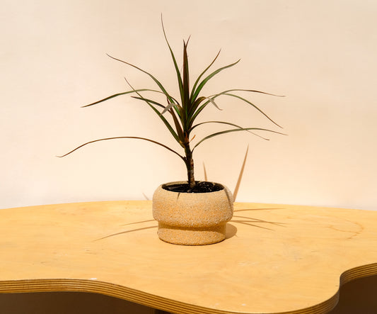 Small Pedestal Planter Desert Sands 17