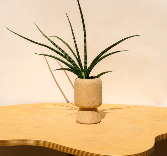 Small Pedestal Planter Desert Sands 19