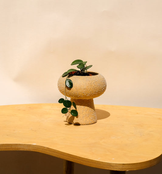 Small Pedestal Planter Desert Sands 20