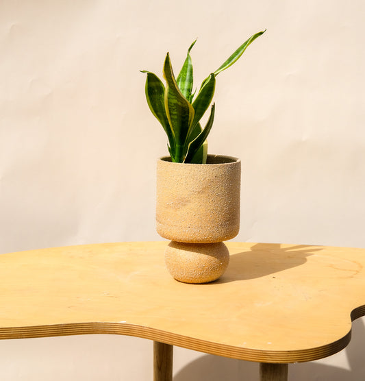 Medium Pedestal Planter Desert Sands 5