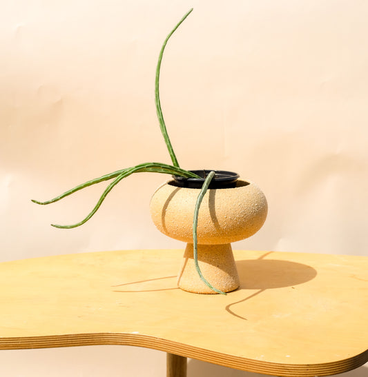 Medium Pedestal Planter Desert Sands 6