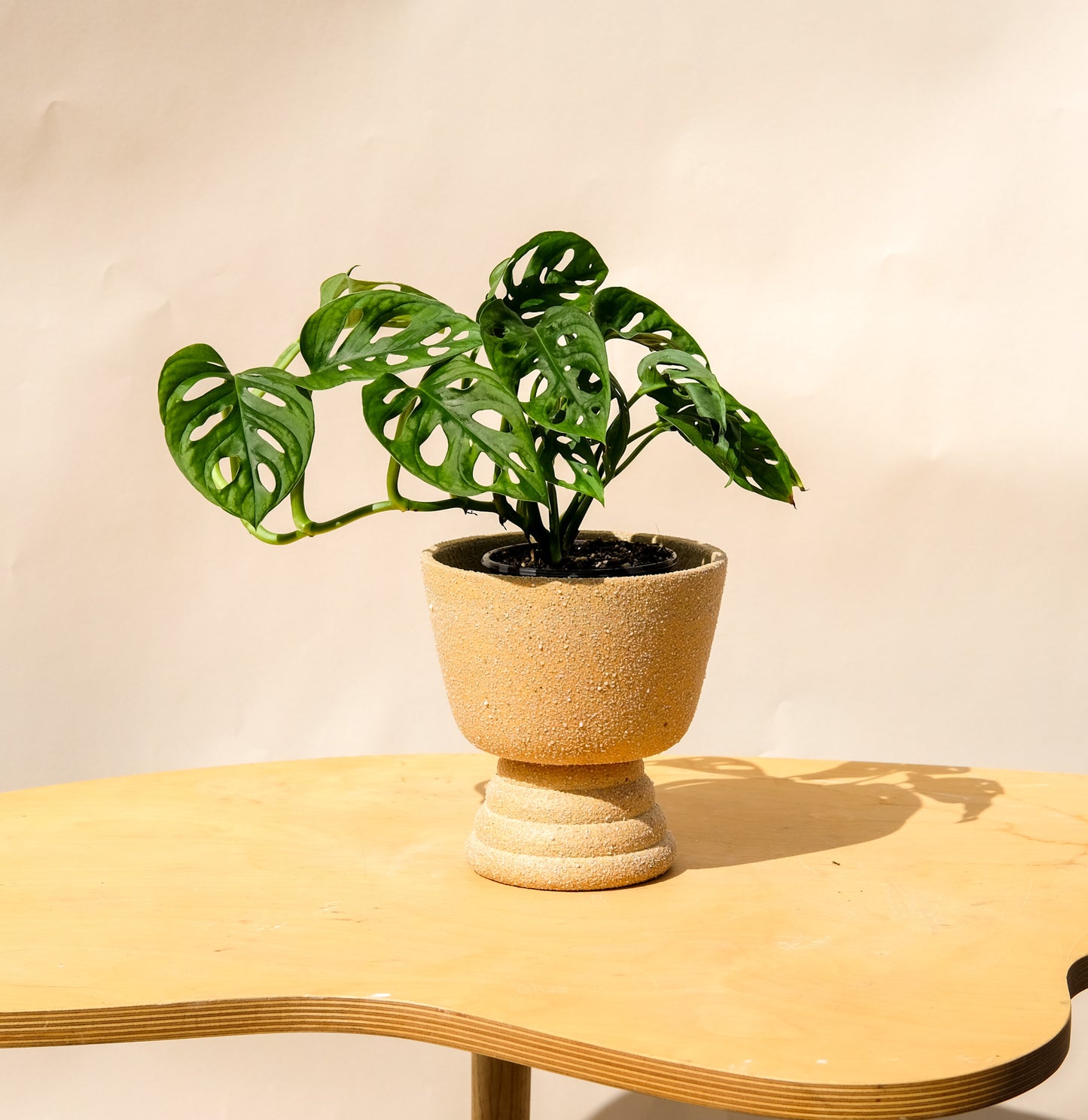 Medium Pedestal Planter Desert Sands 7