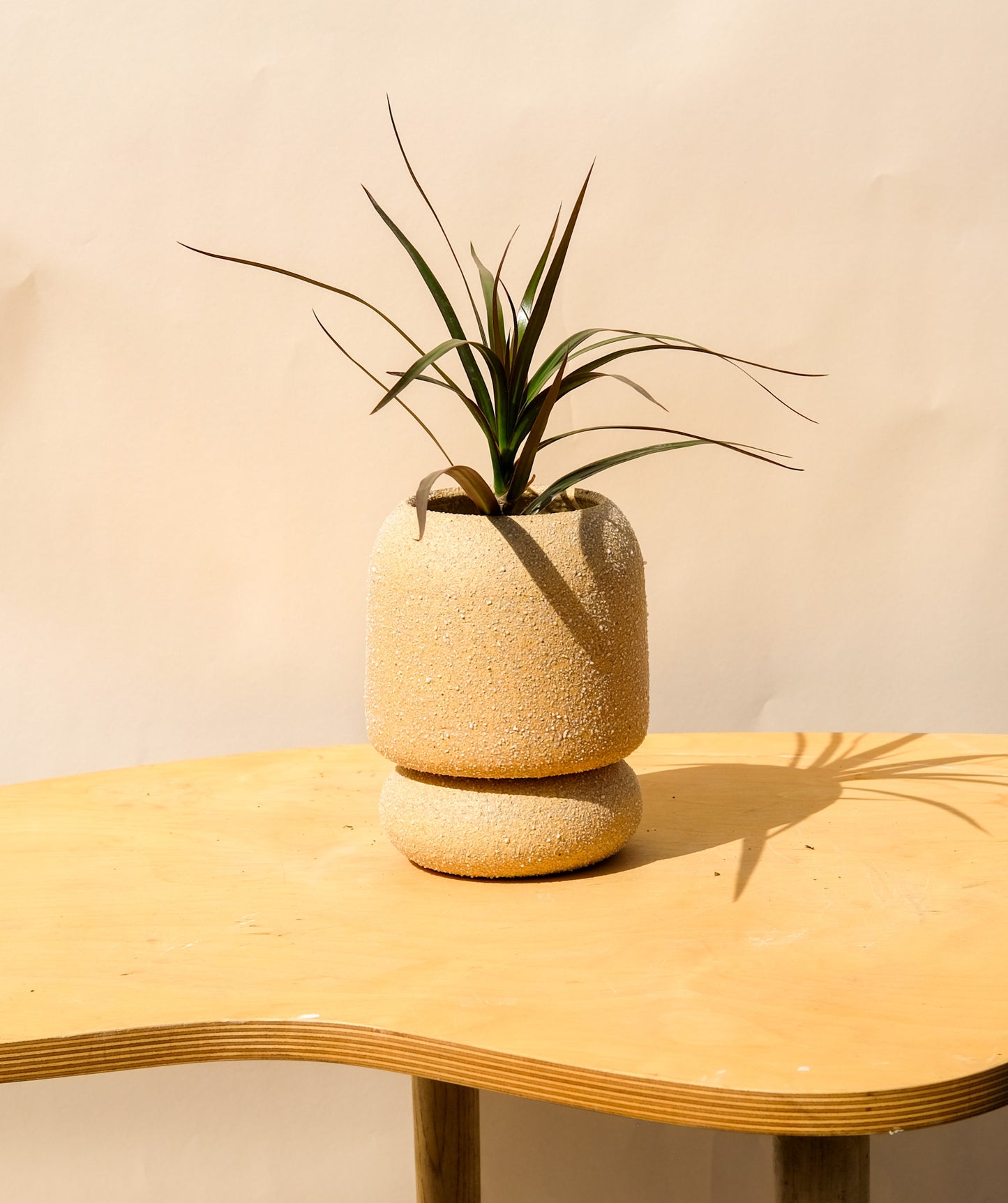 Medium Pedestal Planter Desert Sands 9