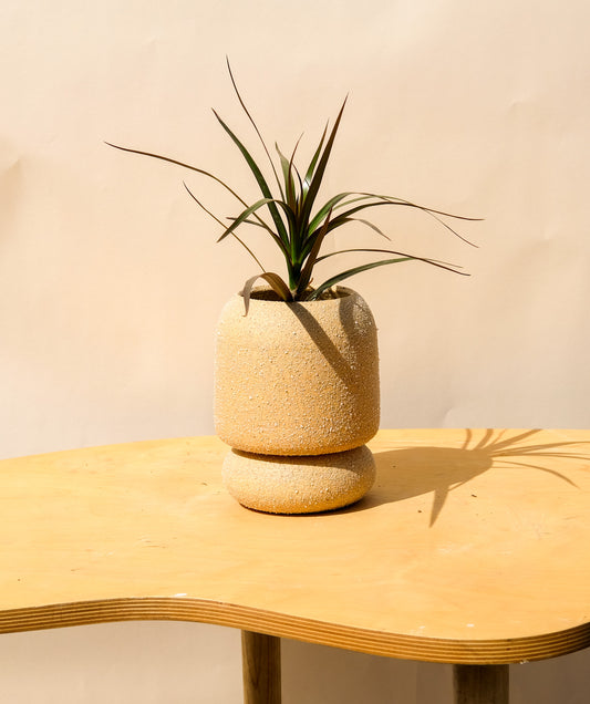 Medium Pedestal Planter Desert Sands 9