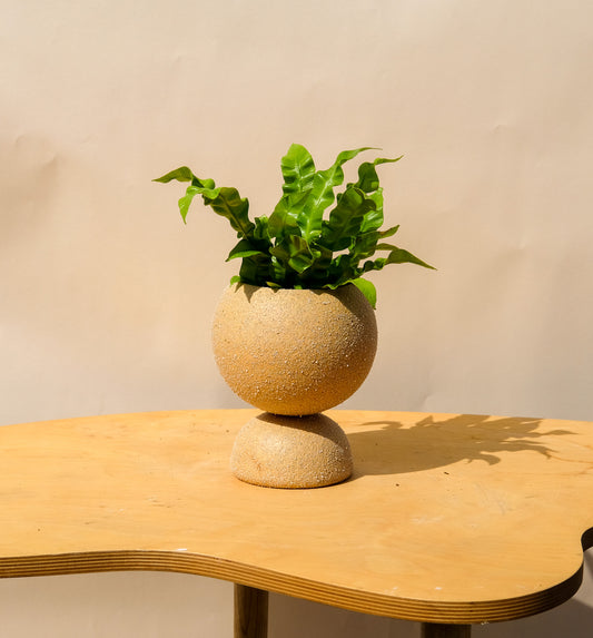 Medium Pedestal Planter Desert Sands 11