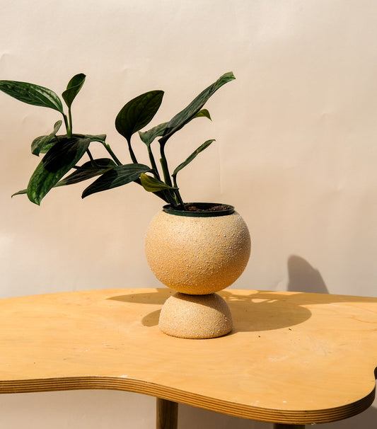 Medium Pedestal Planter Desert Sands 12