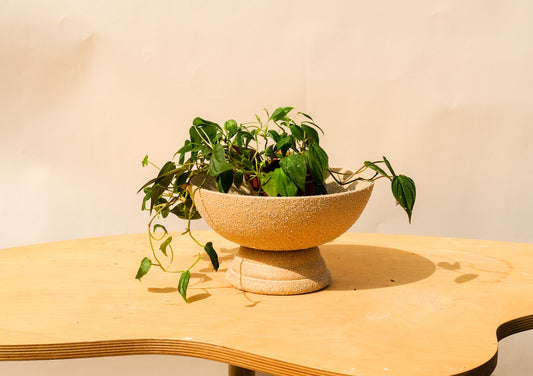 Medium Pedestal Planter Desert Sands 13