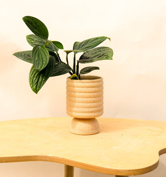 Medium Pedestal Planter Desert Sands 14