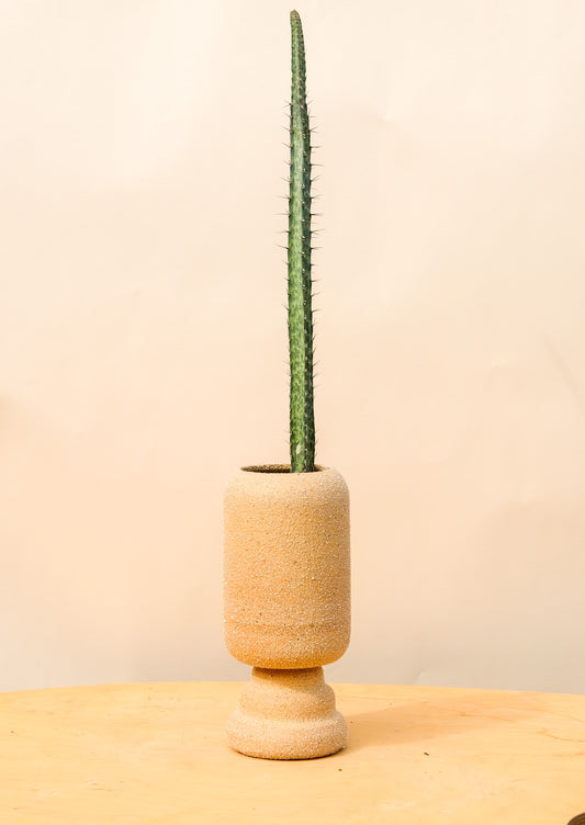 Medium Pedestal Planter Desert Sands 15