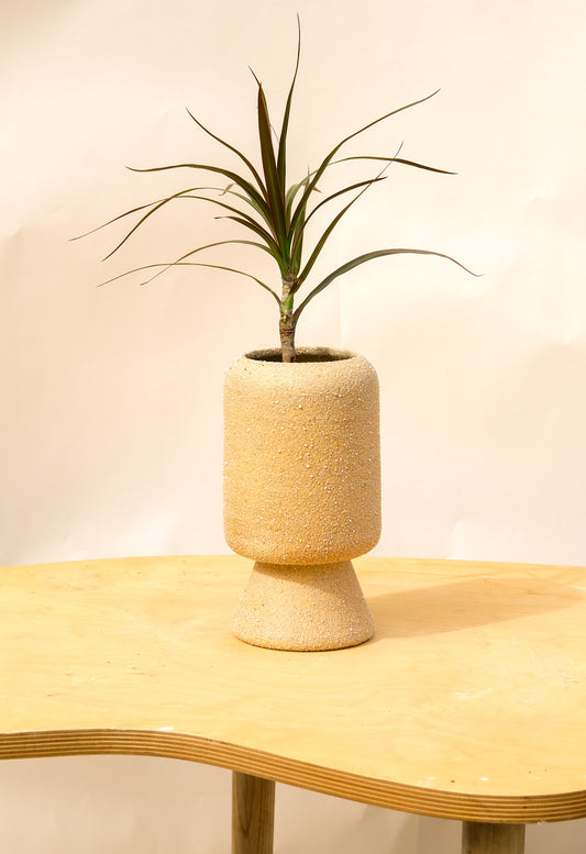 Medium Pedestal Planter Desert Sands 20