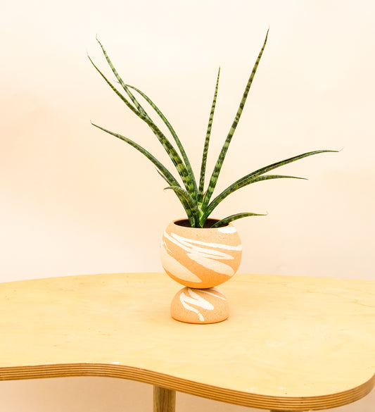 Small Pedestal Planter Desert Splash 1