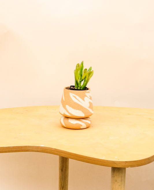 Small Pedestal Planter Desert Splash 2