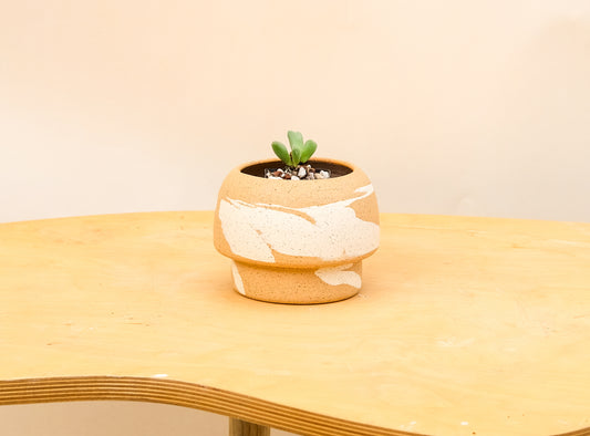 Small Pedestal Planter Desert Splash 4