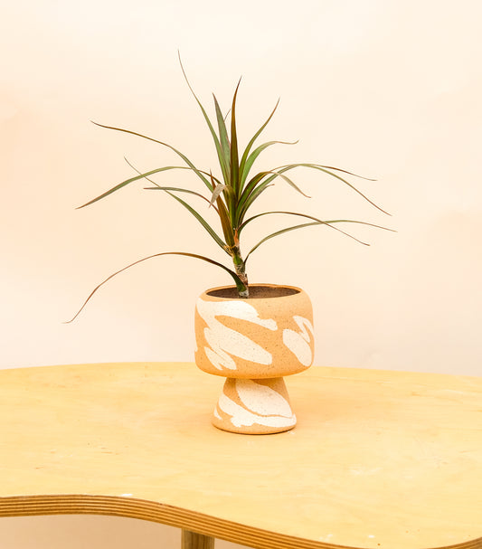 Small Pedestal Planter Desert Splash 5