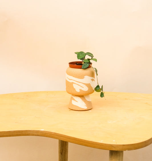 Small Pedestal Planter Desert Splash 6
