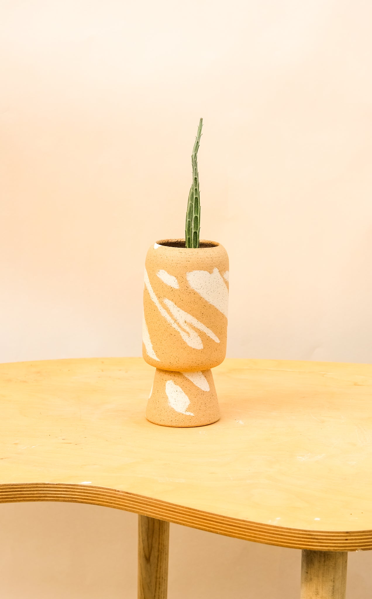 Small Pedestal Planter Desert Splash 8