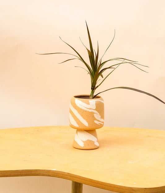 Small Pedestal Planter Desert Splash 9