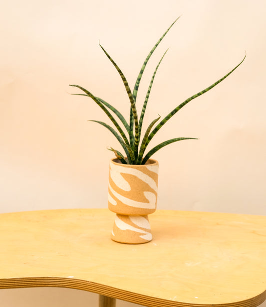 Small Pedestal Planter Desert Splash 10