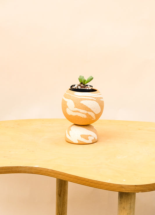 Small Pedestal Planter Desert Splash 11