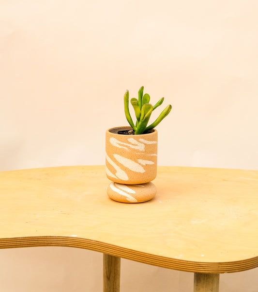 Small Pedestal Planter Desert Splash 12
