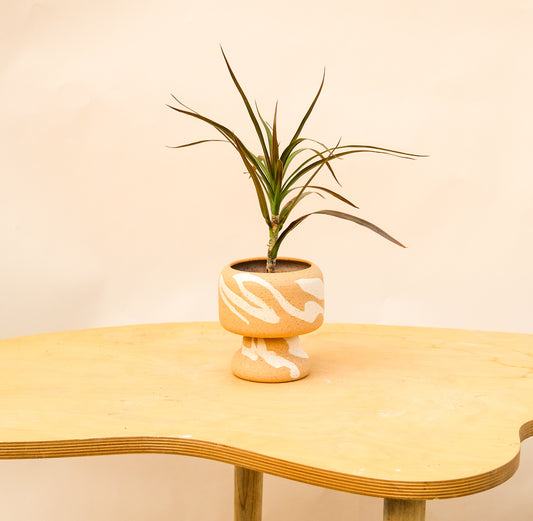 Small Pedestal Planter Desert Splash 13