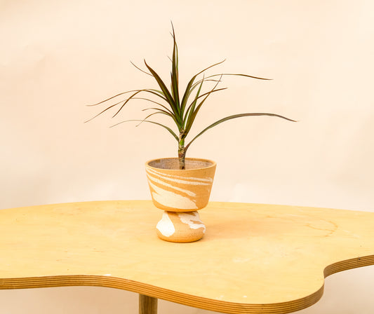 Small Pedestal Planter Desert Splash 17